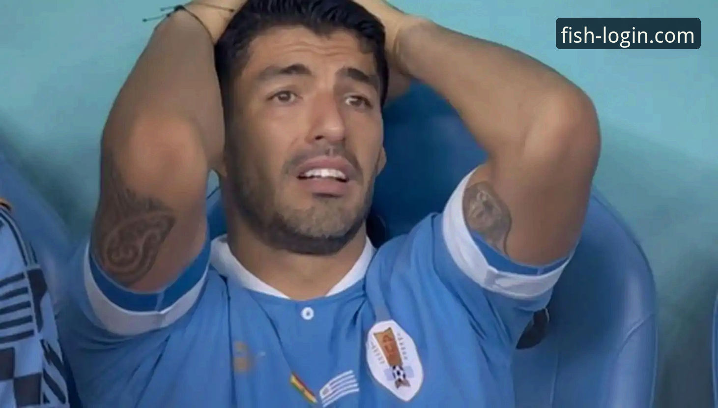 资深球迷分享：在乐鱼体育平台深度解析奥地利5-1大胜加纳的观赛心得